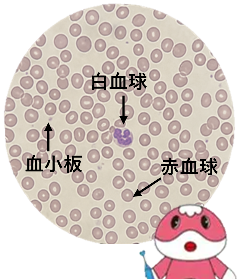 イメージ